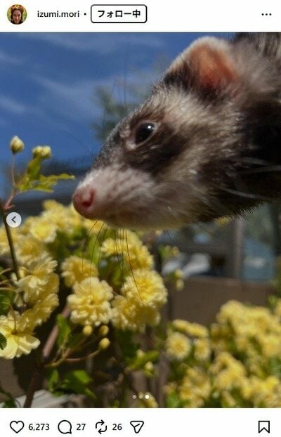 森泉のInstagram投稿