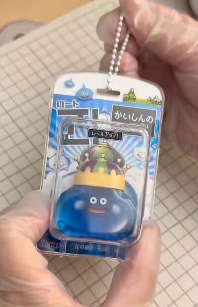 投稿の画像