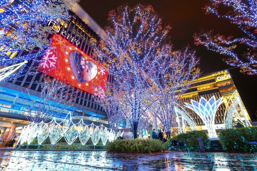 cowardlion/shutterstock.com