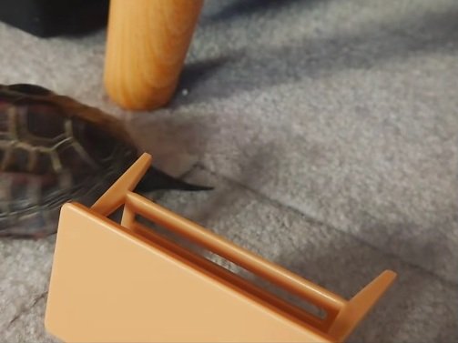 出所：＠kusa.kame.gunso