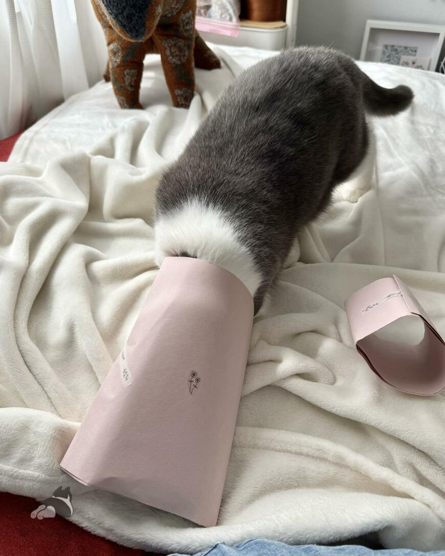 出所：@omochiomoching