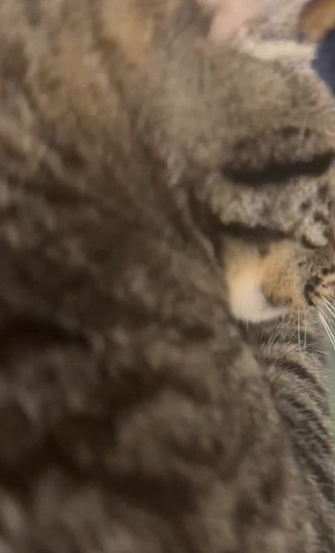 出所：@00shitemita