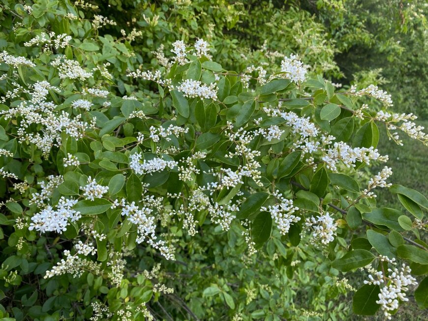 Lekali Studio/shutterstock.com