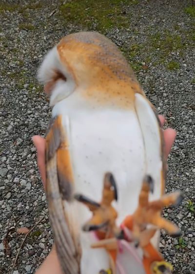 出所：@miki4wan108