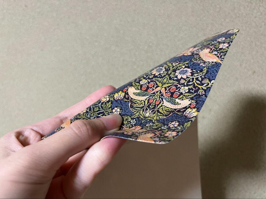 筆者撮影（セリア、ノート＆ブックカバー A6・文庫本対応サイズ マスターピースコレクション/WM）