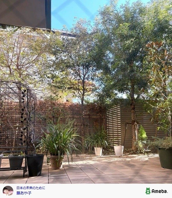 出所：藤あや子の公式ブログ（＠ayako-fuji） 参照日：2026年2月13日