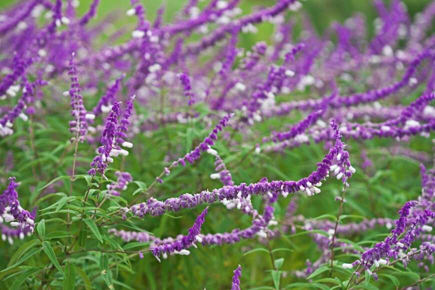 igaguri_1/istockphoto.com