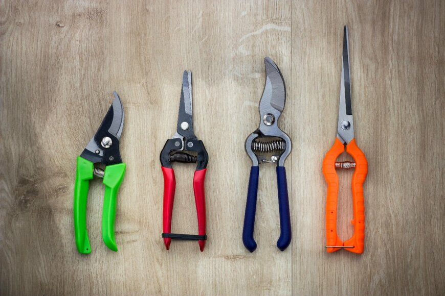 Yuriosav/shutterstock.com