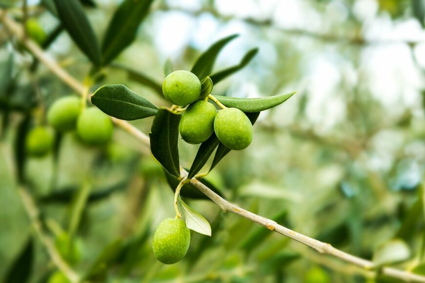 bluebeat76/istockphoto.com