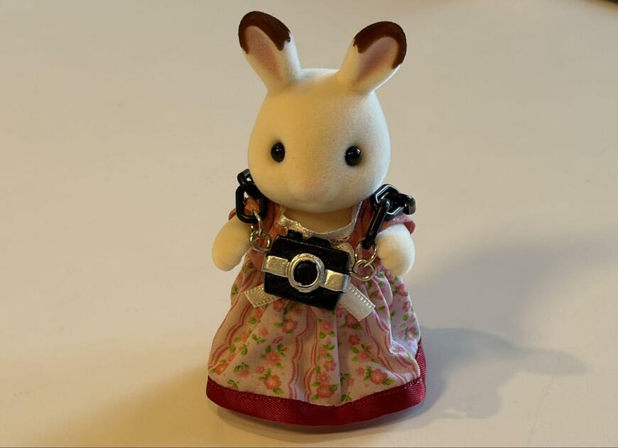 筆者撮影（キャンドゥ、ぬいぐるみ用クラシックカメラ）