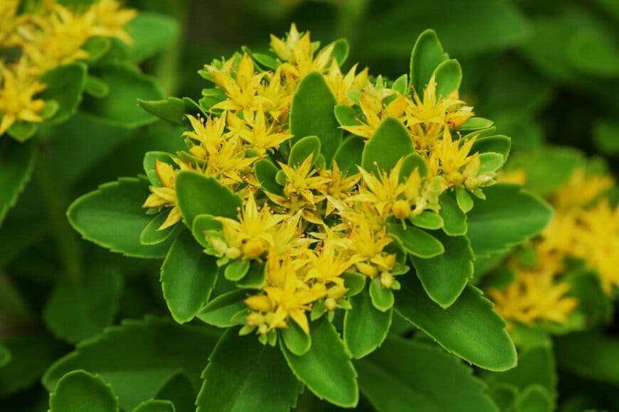 undefined undefined/istockphoto.com