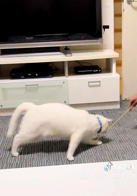 出所：@user5252430348026