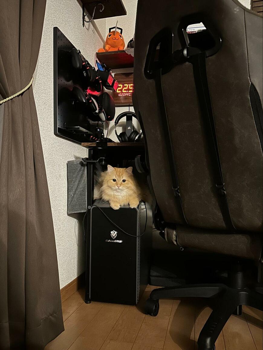 出所：@NEKOLAND13