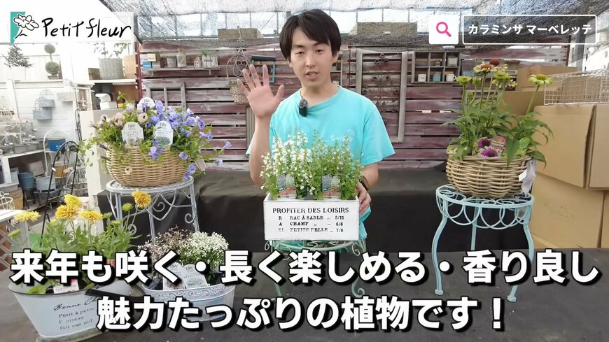 出所：@petit_fleur