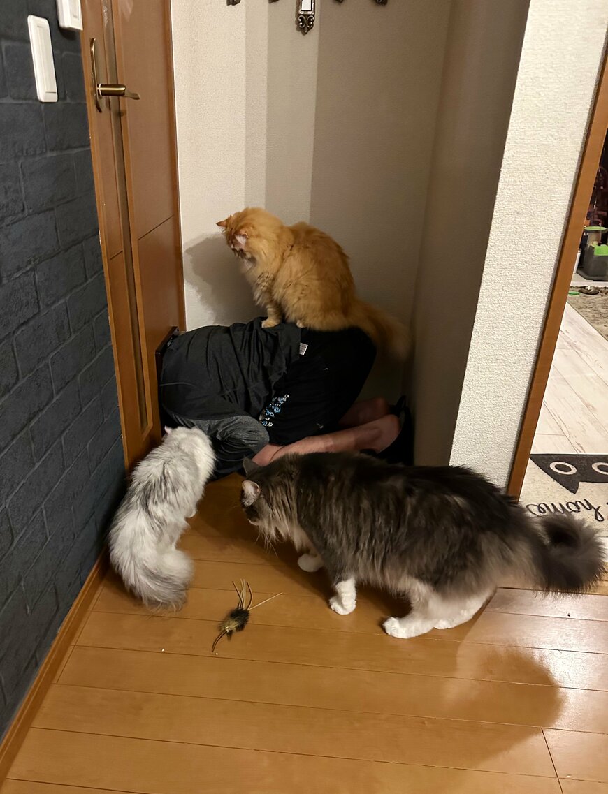 出所：@NEKOLAND13