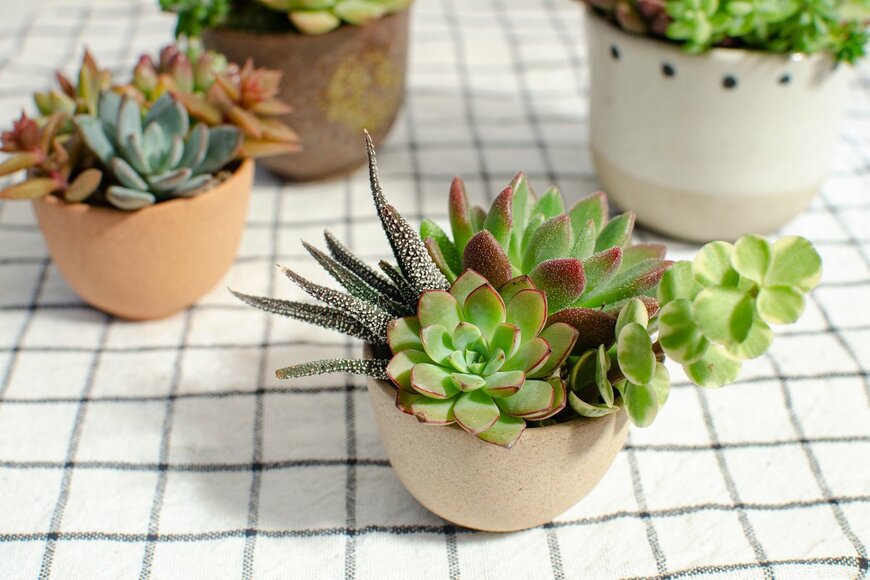 panattar/Shutterstock.com