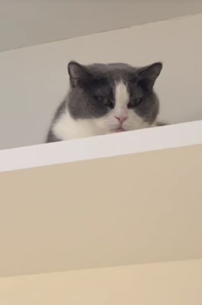 出所：@creo101creo