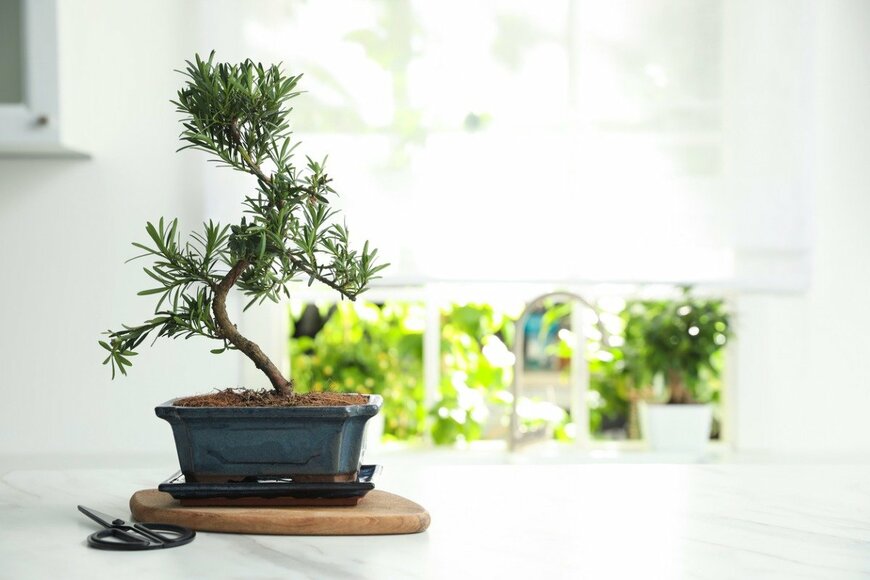 Liudmila Chernetska/istockphoto.com