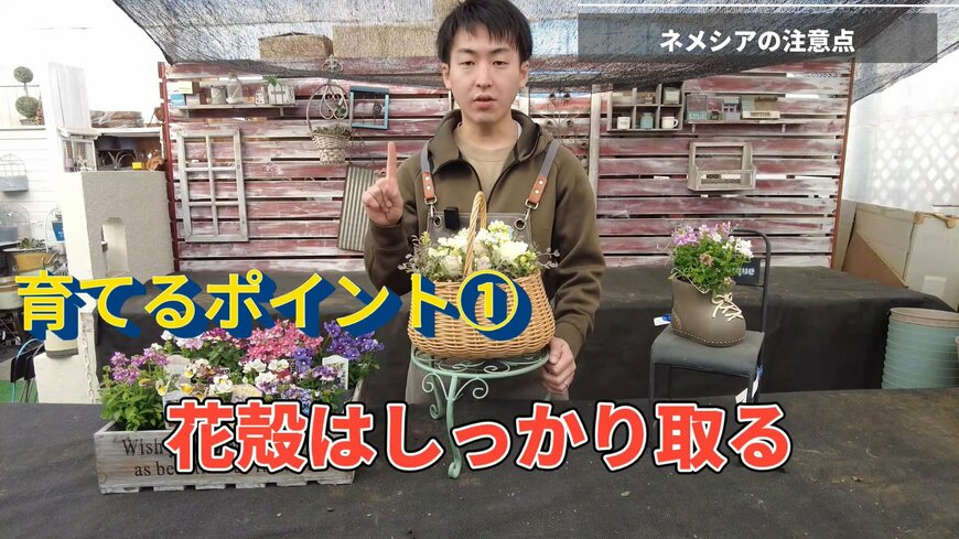 出所：@petit_fleur