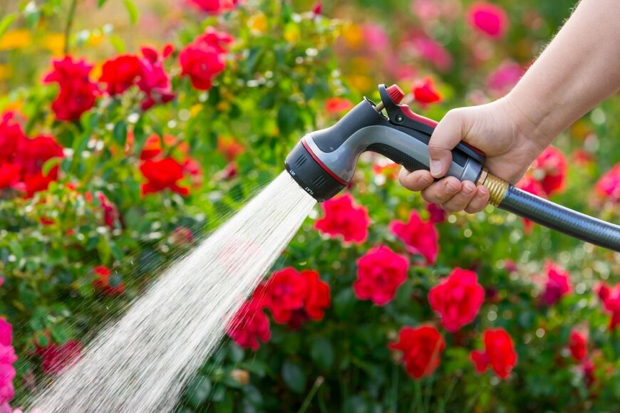 topseller/shutterstock.com