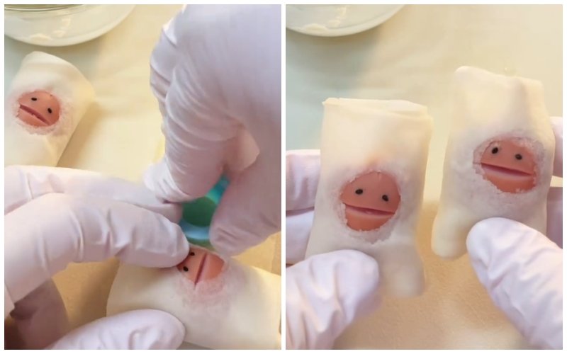 投稿動画のワンシーン