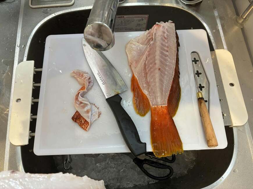 投稿の画像