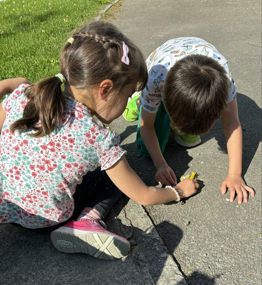 子供たちが見つけたミツバチ