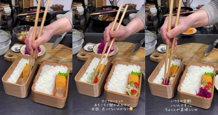 投稿動画のワンシーン