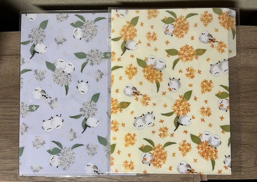 キャンドゥ、02KSA4クリアホルダー3ポケット画像