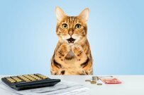 【60歳代】「貯蓄3000万円以上」という羨ましい世帯は日本にどのくらい？2024年度最新の年金額の例も確認