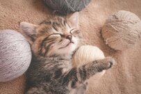 6月13日（金）は年金支給日！【老齢年金】60歳代・70歳代・80歳代・90歳以上《国民年金・厚生年金》の平均月額はいくら？