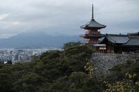 【GWのドライブに】京都縦貫道から直結！黒豆グルメと地元野菜が魅力の「京丹波 味夢の里」