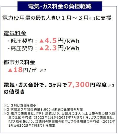 電気・ガス料金の負担軽減支援