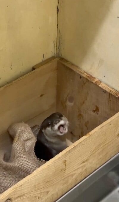 東武動物公園