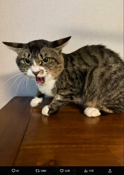 藤あや子のInstagram投稿