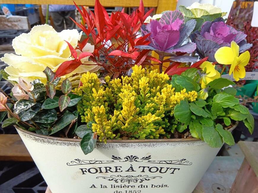 出所：筆者撮影