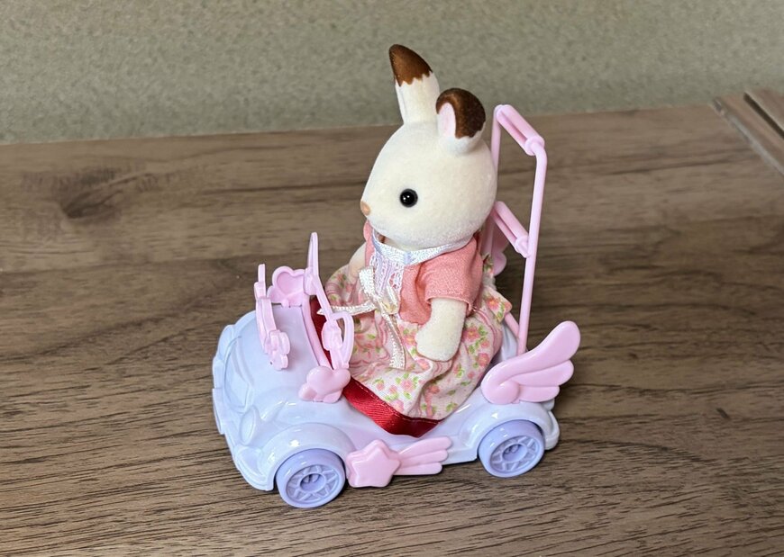筆者撮影（キャンドゥ、メルヘンカート）
