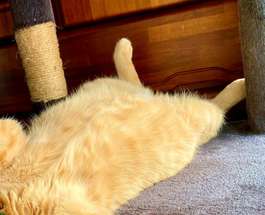 出所：@luna7taka9