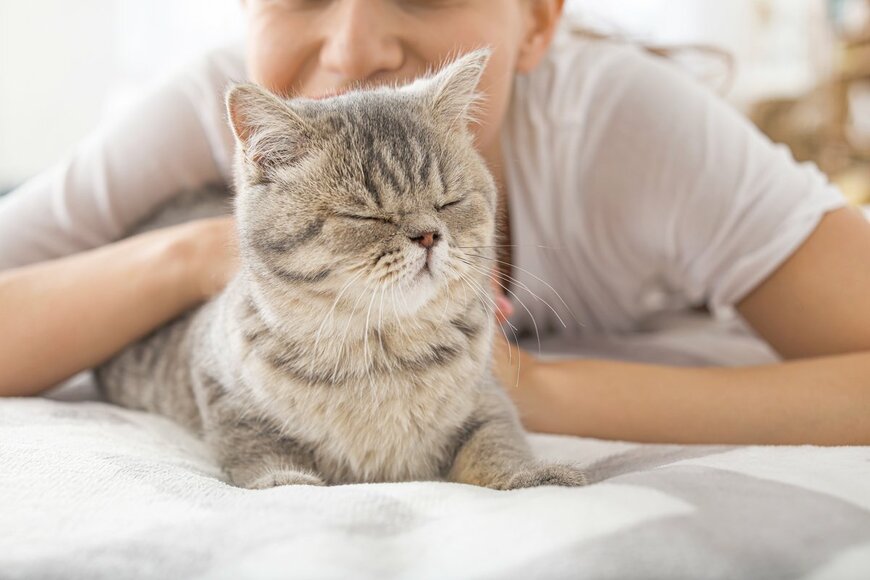 Pixel-Shot/shutterstock.com