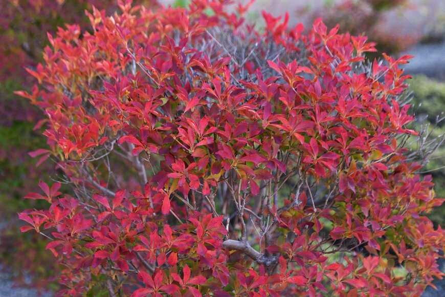 undefined undefined/istockphoto.com