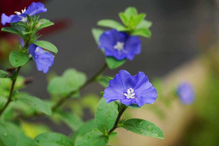 wahid hasyim asyari/istockphoto.com