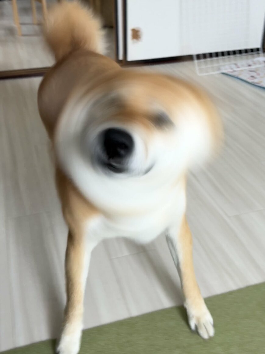 出所：@fufufufufu_ta