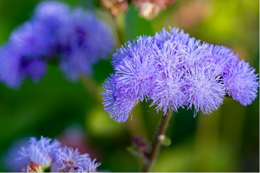 Donna-Duncan Robertson/istockphoto.com