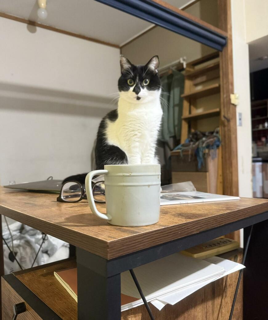 出所：@00shitemita