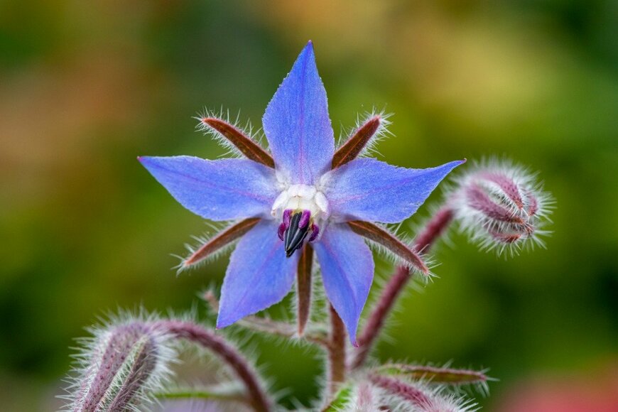 Tom Meaker/istockphoto.com