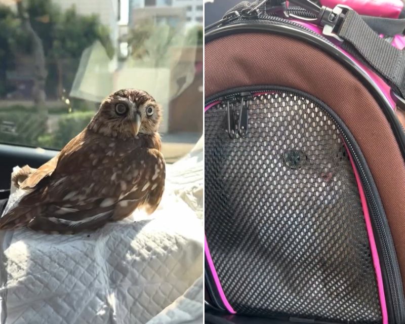 出所：@cr8673.hiro