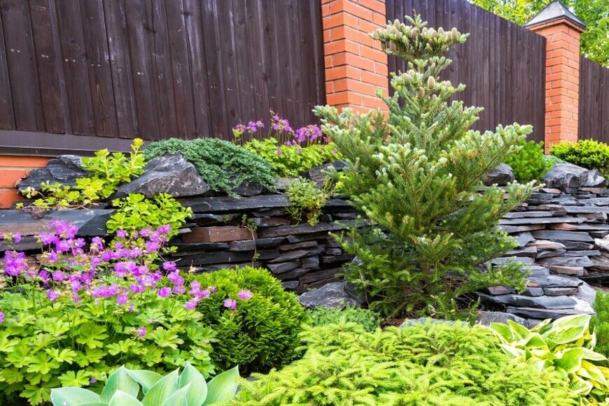 scaliger/istockphoto.com