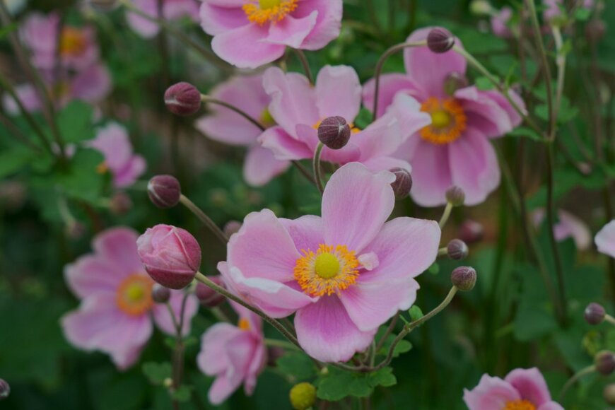 High Mountain/istockphoto.com