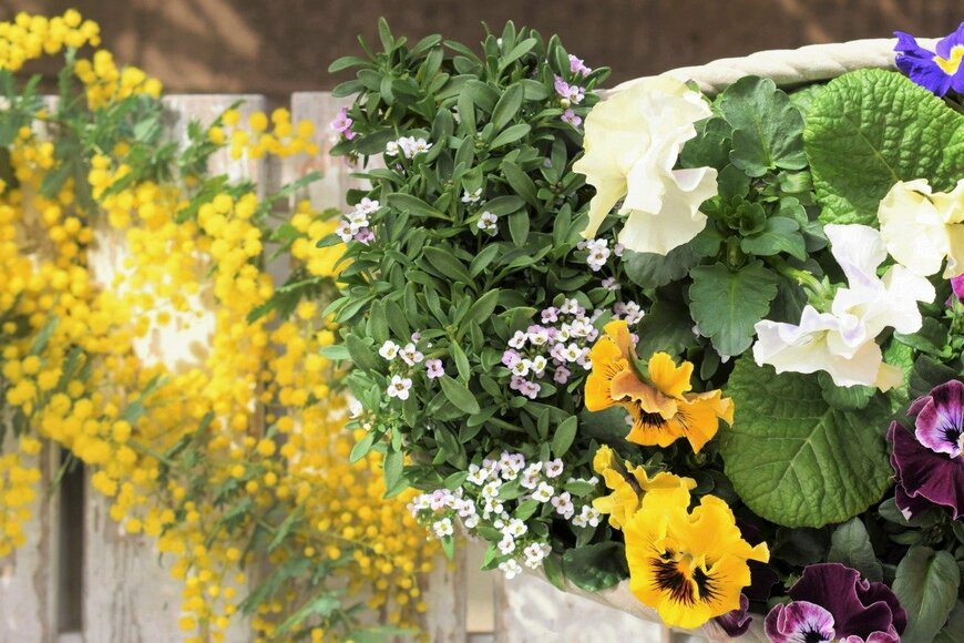 syan/istockphoto.com