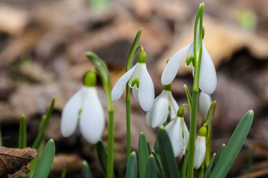 Vadym Lavra/shutterstock.com